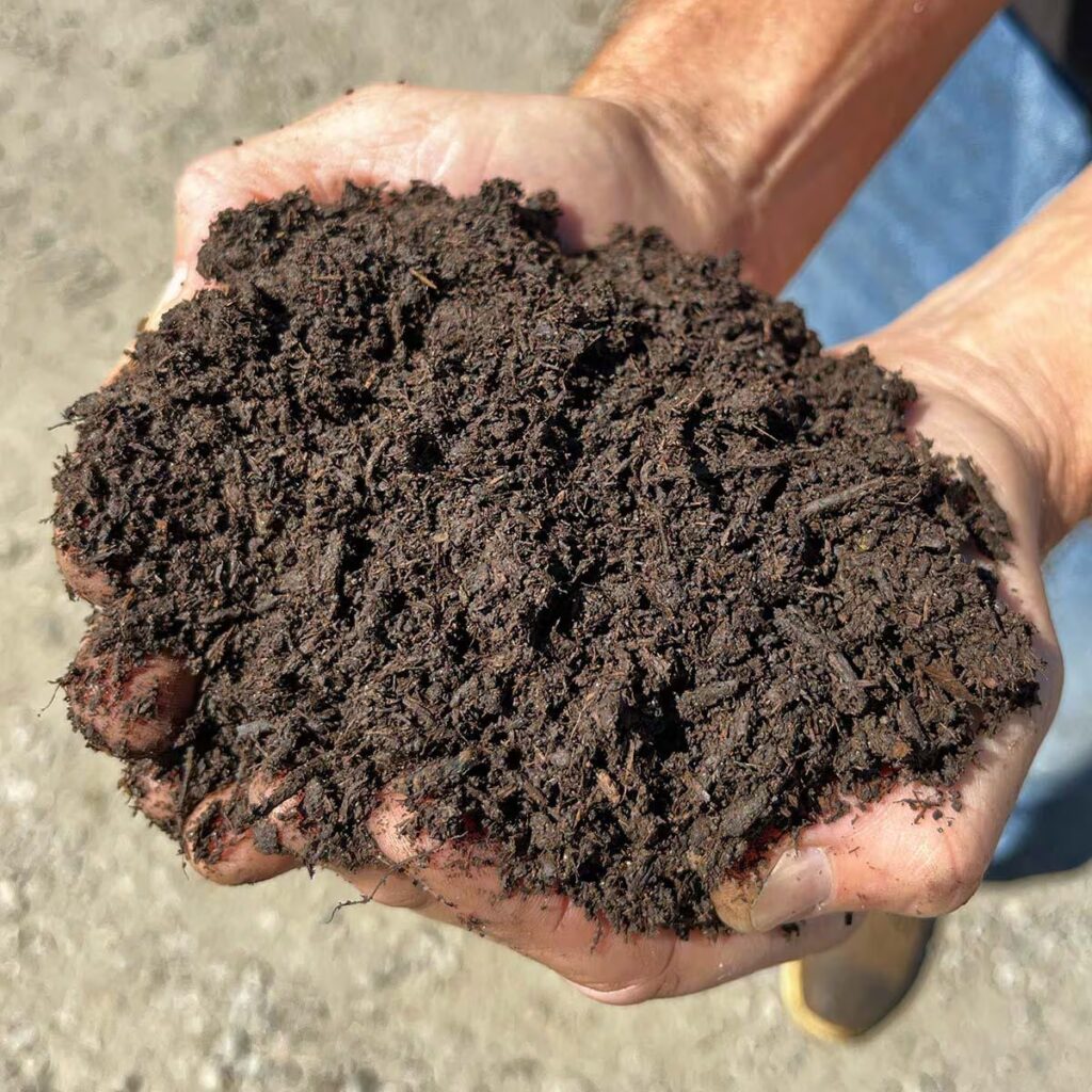 Compost Manure